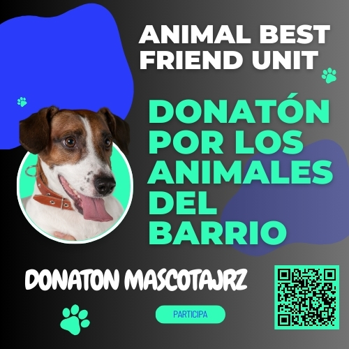 Blog Mascotas